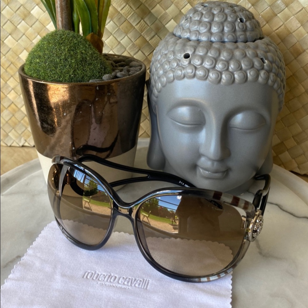 ❤️♥️SOLD♥️❤️ Roberto Cavalli Preloved Sunglasses